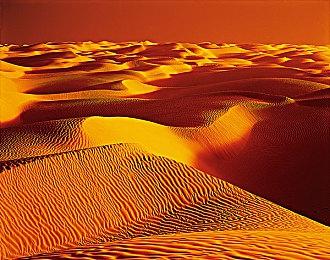 《冲就完事模拟器2》今秋登陆Switch 2 好评解压续篇