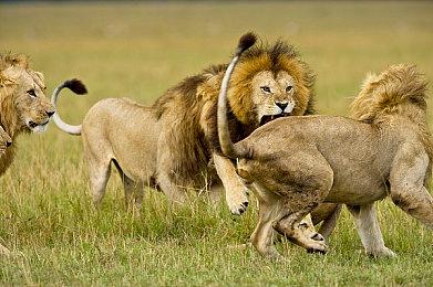 第三人称射击游戏《VEILED EXPERTS 幕后高手》宣布BETA测试3月30日开启