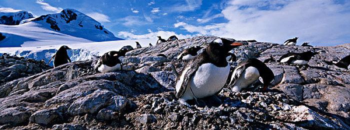 《漫威暗夜之子》开发商Firaxis和CDPR各裁员30人