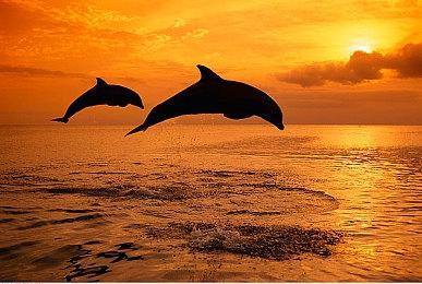 《罪恶王权》发售一周销量突破5万 官推发文感谢玩家