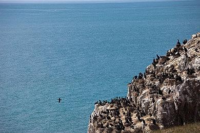 动作冒险游戏《Soulstice》新CG预告 9月20日发售