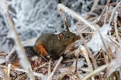 《城市：天际线2》Xbox Series版成就泄露